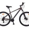 SPRING RAPID 29"