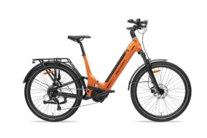 MS ENERGY eBike Mokosha
